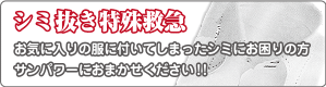 しみ抜き特殊救急